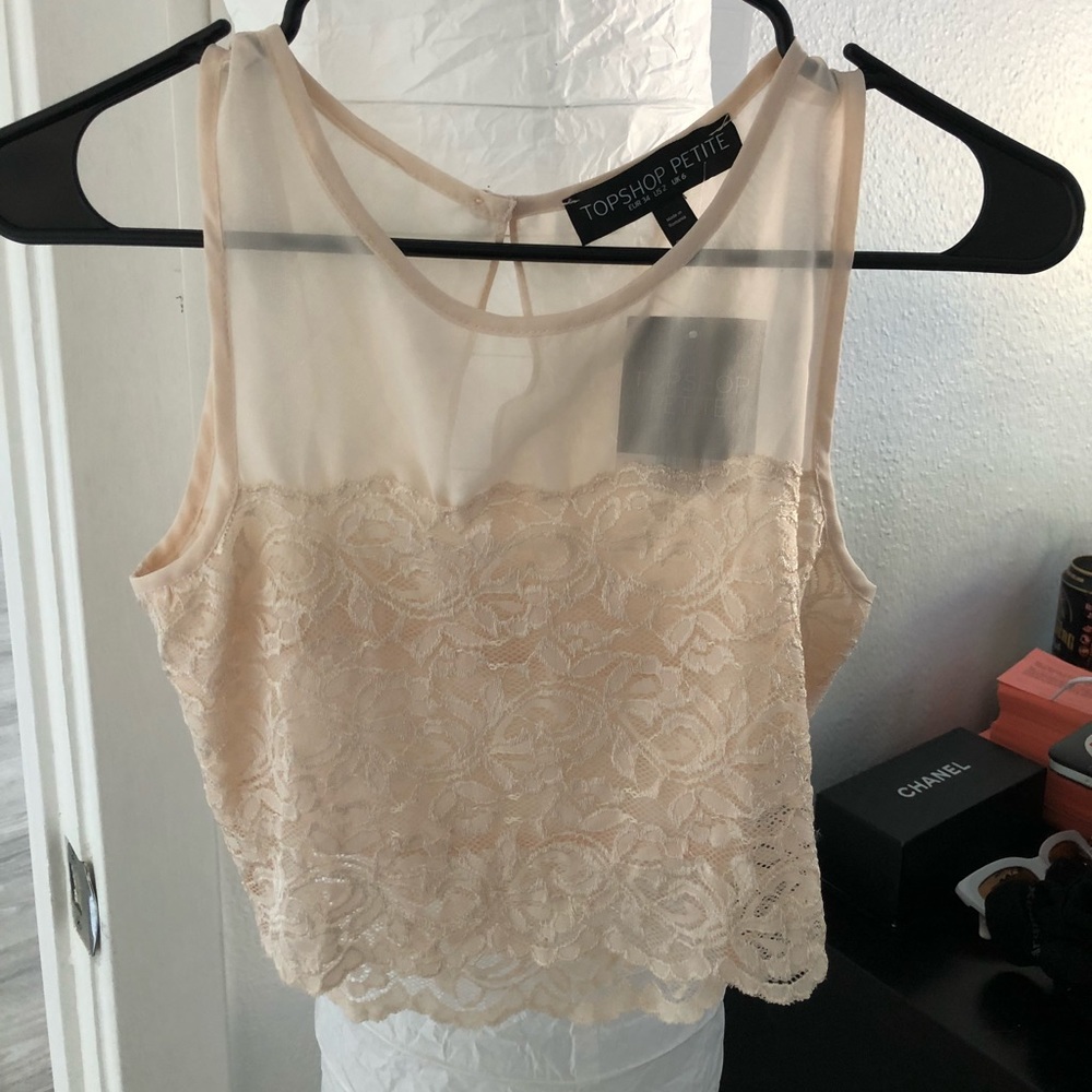 Topshop Sheer Floral Top - Petite
